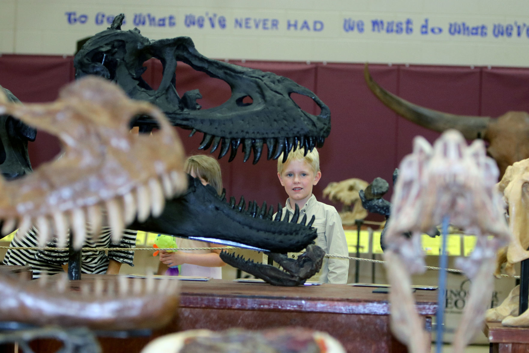 Dazzled by dinosaurs